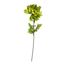 Искусственный цветок хризантем, зеленый, 710 мм