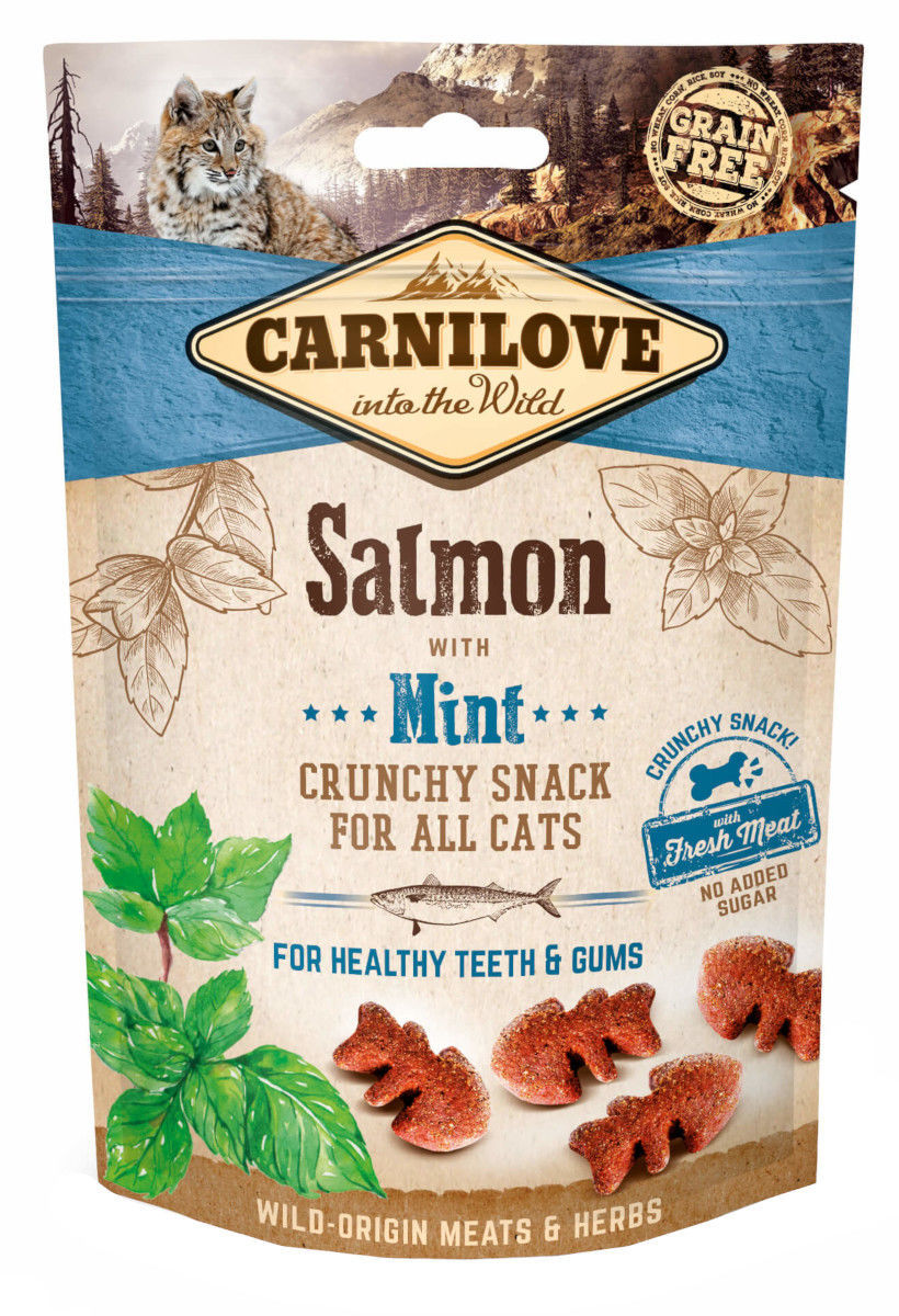 carnilove salmon cat