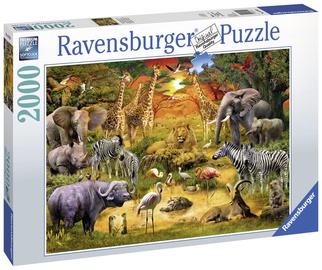 Puzle Ravensburger Gathering At The Waterhole 167029, 2000 gab.
