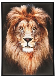 4Living Picture 50x70cm Lion