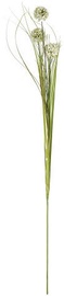 Home4you Bouquet Herbarium Grass 3pcs In Garden H89cm White 83845