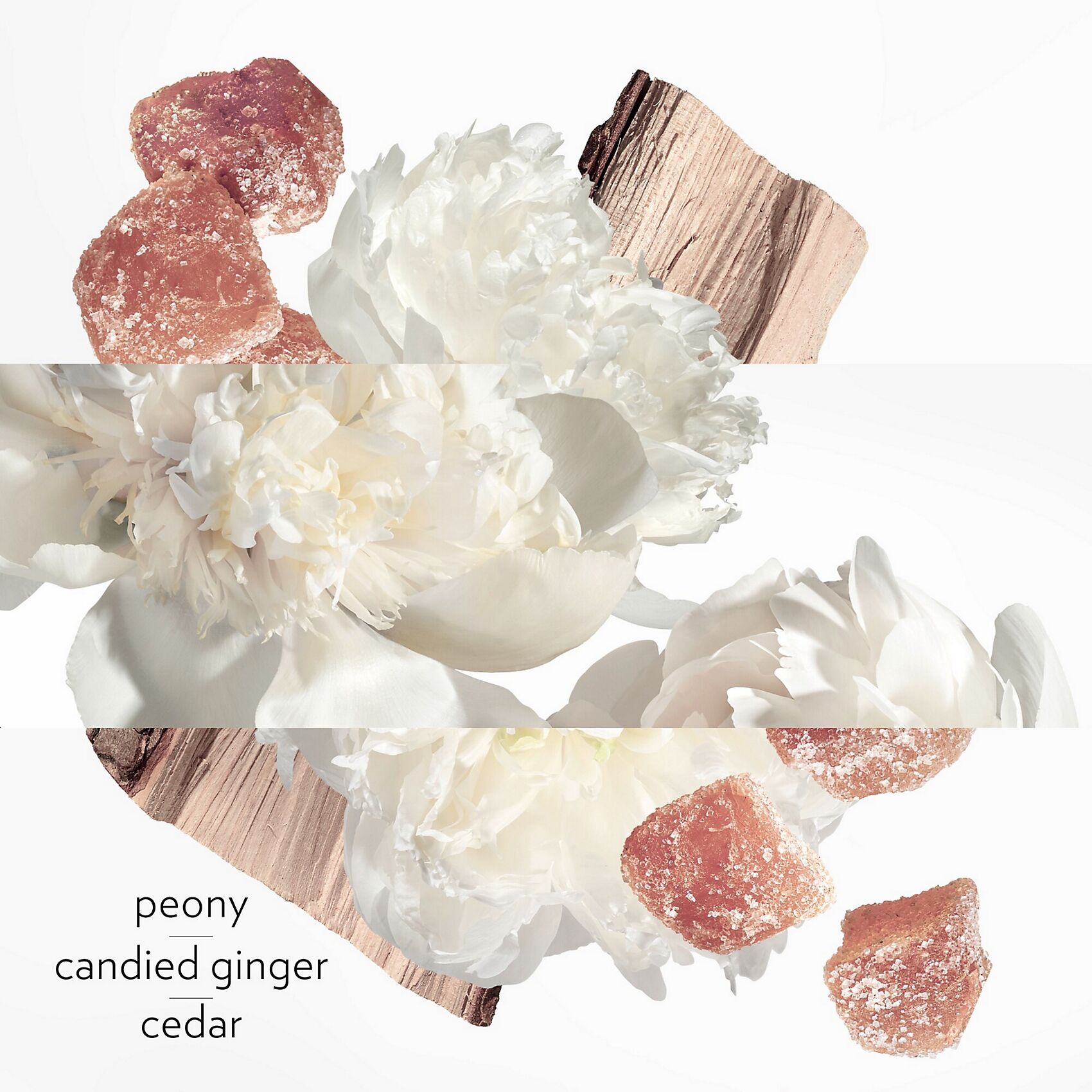 twilly hermes eau ginger
