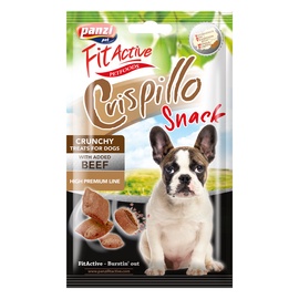 Skanėstai šunims Fit Active Dental, 100 g.