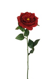 MĀKSL.ROZE 53 CM 80-354921 T.SARK.