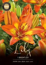 LILLIJAS BRIGHT JOY ORANŽAS/DZELTENAS