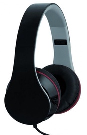Ausinės iBOX D14 Headphones w/Mic Black