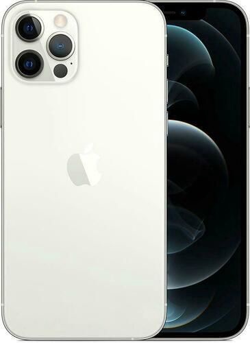 Mobilais telefons Apple iPhone 12 Pro, sudraba, 6GB/256GB