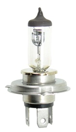 Bottari Halogen H4 12V 60/55W P43T High Light 30135