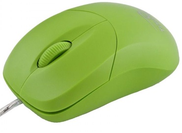 Esperanza Titanum Arowana TM109 Green