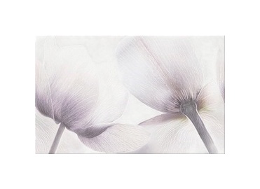 Keraminės dekoruotos sienų plytelės Elle Tulip, 40 x 25 cm