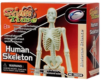 Eastcolight Human Skeleton 28008/28206