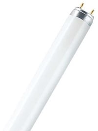 Лампочка Osram, T8, белый, G13, 36 Вт, 3100 лм