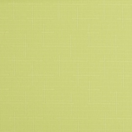 RULLO ŽALŪZ. SHANTUNG 873 60X170 ZAĻA