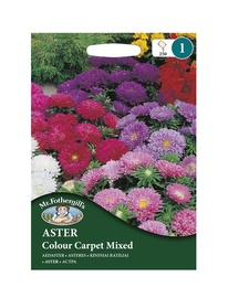 ASTERES Colour Carpet Mixed
