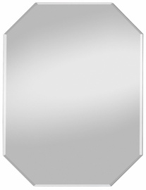 Spiegel Profi Mirror Nils 45x60cm
