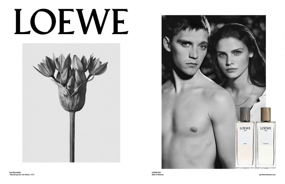 loewe 001 man edp