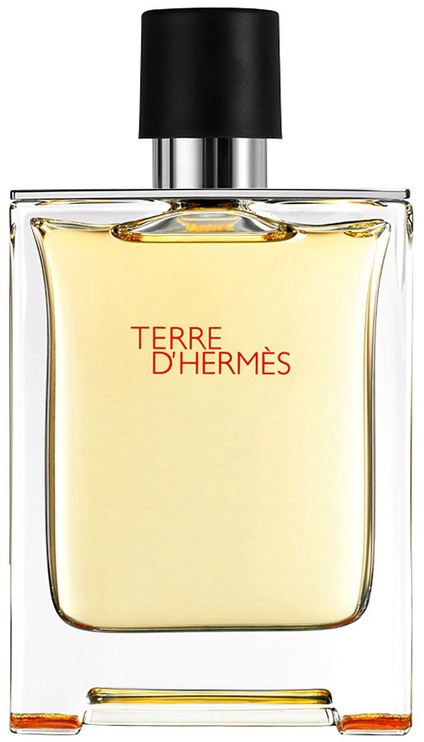 Tualetes ūdens Hermes Terre D Hermes, 100 ml