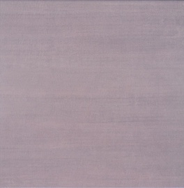 Akmens masės plytelės Newport T, 40,2 x 40,2 cm