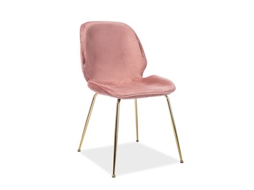 Стул для столовой Signal Meble Adrien Velvet Antique Pink/Gold