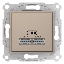 Ligzda Schneider Asfora, titāna
