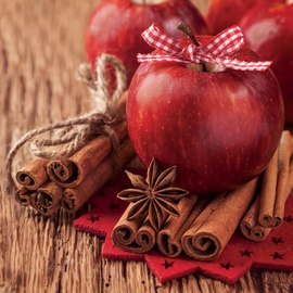 Paw Decor Collection Christmas Apple Napkins 33x33cm