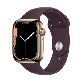 Nutikell Apple Watch Series 7 GPS + LTE 45mm Stainless Steel, kuldne