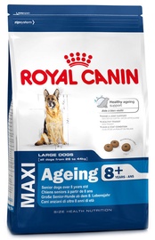 Royal Canin SHN Maxi Ageing +8 15kg