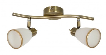 Candellux Regent Spot 2x40W 077052