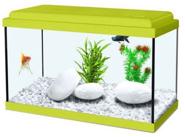 Аквариум Zolux Nanolife Kidz 40, зеленый, 18 л
