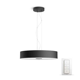 Išmanusis šviestuvas Philips Fair Hue, juodas, 1x39W 24V