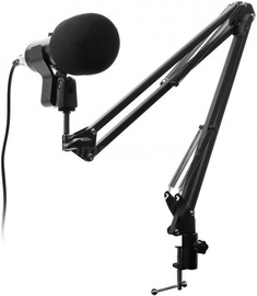 Mikrofon Accura Fame ACC-M1754