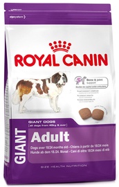 Royal Canin SHN Giant Adult 15kg
