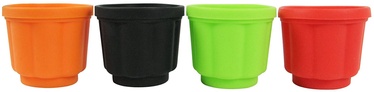 Yoko Design 1139-6701S Jelly Forms