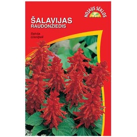 Salvija
