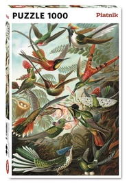 Piatnik Puzzle Humming Birds 1000pcs