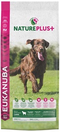 Sausā suņu barība Eukanuba, jēra gaļa/rīsi, 14 kg