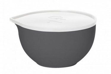 Plast Team Bowl With Lid D21cm 2l Grey