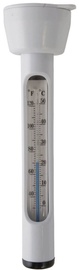 Termomeeter Floating Thermometer