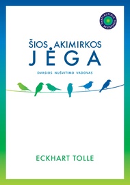 Knyga Šios akimirkos jėga