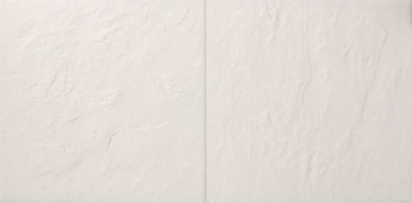 Azulindus y Marti Bristol Floor/Wall Tile 25.7x51.5cm Plain