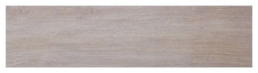 FLĪZE GRĪD.GRES FOREST.DORATO 15.5X62