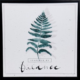 Home4you Print Picture Nature 40x40cm Fern Balance