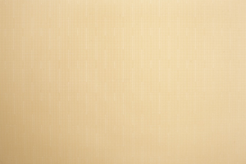 Руло Domoletti Shantung 877, бежевый/песочный, 180 см x 170 см