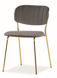 Стул для столовой Signal Meble Carlo Velvet Grey/Gold, 1 шт.