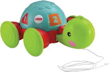 Žaislas tempiamas vėžlys Fisher Price Y8652, 1 m