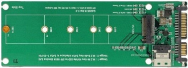 Delock U.2 SFF-8654 or SATA to 1 x M.2 Key M Slot