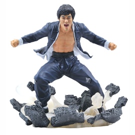 Figuur Diamond Select Toys Bruce Lee Earth, mitmevärviline