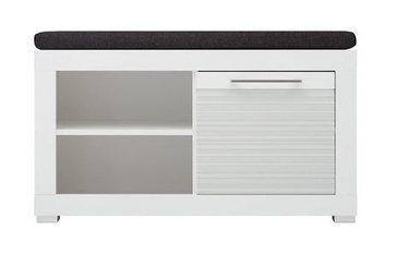 WIPMEB Polaris Typ 60 Shoe Cabinet