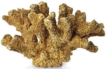 Mondex Samoa Coral Figure 7.7x17.7x17cm