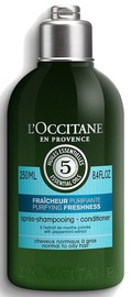 Plaukų kondicionierius L´Occitane Aromachologie Purifying Freshness Conditioner, 250 ml